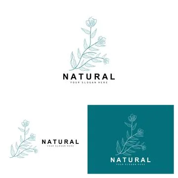 Simple Botanical Leaf and Flower Logo, Vector Natural Line Style, Decoratio.. Stock Illustration