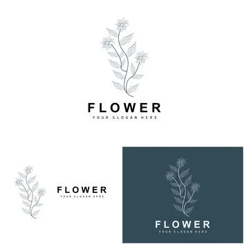 Simple Botanical Leaf and Flower Logo, Vector Natural Line Style, Decoratio.. 스톡 일러스트