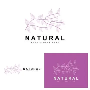 Simple Botanical Leaf and Flower Logo, Vector Natural Line Style, Decoratio.. Stock Illustration