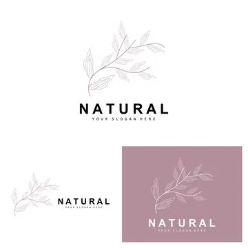 Simple Botanical Leaf and Flower Logo, Vector Natural Line Style, Decoratio.. 스톡 일러스트