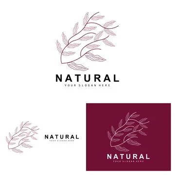 Simple Botanical Leaf and Flower Logo, Vector Natural Line Style, Decoratio.. 스톡 일러스트