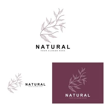 Simple Botanical Leaf and Flower Logo, Vector Natural Line Style, Decoratio.. 스톡 일러스트