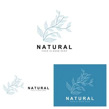 Simple Botanical Leaf and Flower Logo, Vector Natural Line Style, Decoratio.. Illustrazione stock