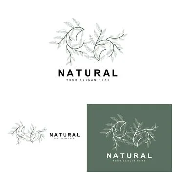 Simple Botanical Leaf and Flower Logo, Vector Natural Line Style, Decoratio.. 스톡 일러스트