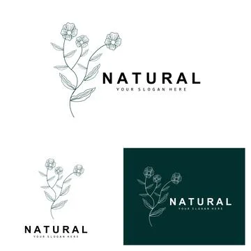 Simple Botanical Leaf and Flower Logo, Vector Natural Line Style, Decoratio.. Stock Illustration