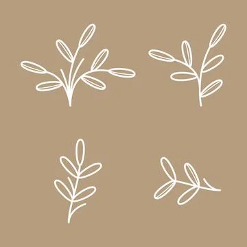 Simple botanical leaf element illustration Stockillustratie