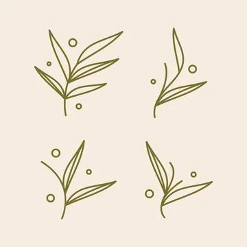 Simple botanical leaf element illustration Stockillustratie