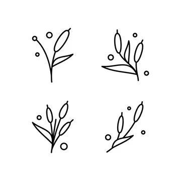 Simple botanical leaf element illustration Stockillustratie