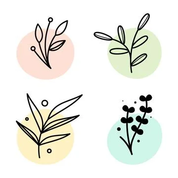 Simple botanical leaf element illustration Stockillustratie