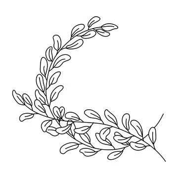 Simple branch of the eucalyptus plant, decorative with rounded leaves. Graphic Stock Illustration