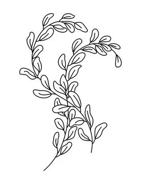Simple branch of the eucalyptus plant, decorative with rounded leaves. Graphic Stockillustratie