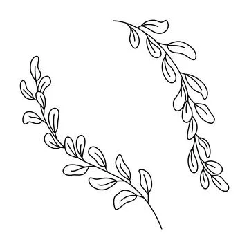 Simple branch of the eucalyptus plant, decorative with rounded leaves. Graphic 库存插图