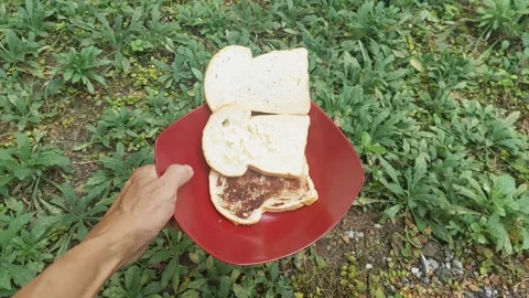 Simple Breakfast in the Garden Stock-Footage 308854149