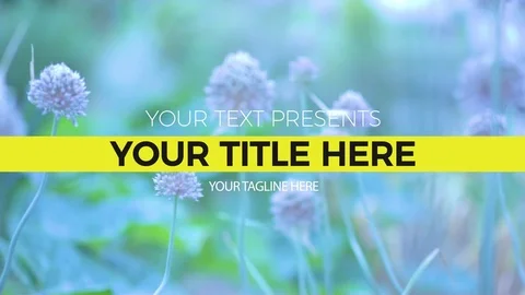 Simple Bright Title 7 Stock After Effects