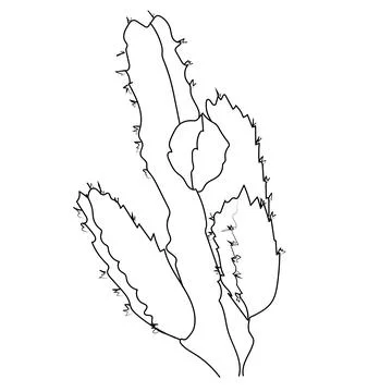 Simple cactus drawing in black and white cute cactus clipart in black and white Stock Illustration
