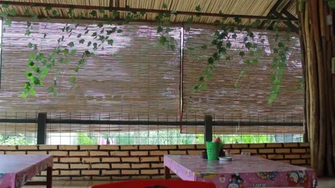 Simple cafe with a breeze Stock Footage 195948735