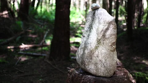 SIMPLE CAIRN ROCK STRUCTURE ON TREE STUMP IN PEACEFUL FOREST CLEARING Stock Footage 52330638
