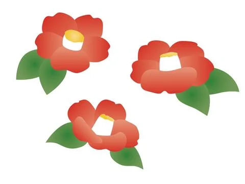 Simple camellia illustration. Stock Illustration