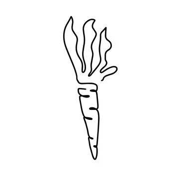 Simple carrot design in continuous line art drawing style. Growing carrot plant Stock Illustration