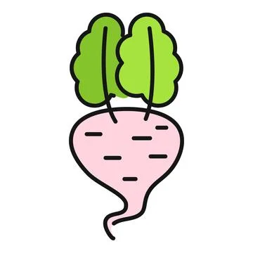 Simple cartoon beetroot root vegetable icon illustration Stock Illustration