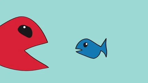 Simple cartoon drawing of a big red fish eating a smaller blue fish Stock Footage 305628701