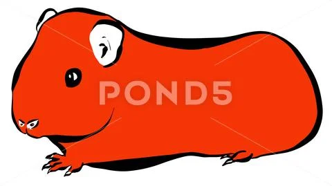 Simple Cartoon Guinea Pig Illustration Vector Stock Illustration