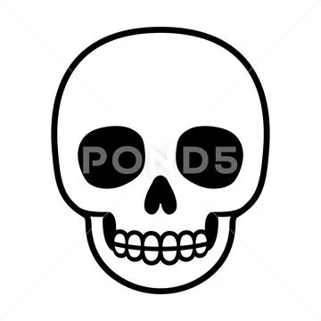Aesthetic Skull PNG Background Images | Free Photos, PNG Stickers,  Wallpapers & Backgrounds - rawpixel