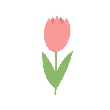 Simple cartoon icon on white background - tulip blooms. 8 March Stock Illustration