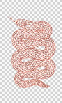 A simple cartoon snake pattern Illustrazione stock