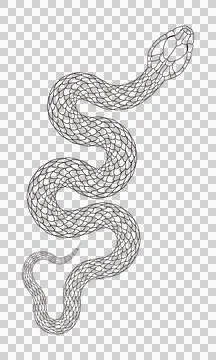 A simple cartoon snake pattern Illustrazione stock