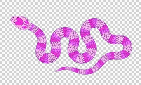 A simple cartoon snake pattern イラスト素材