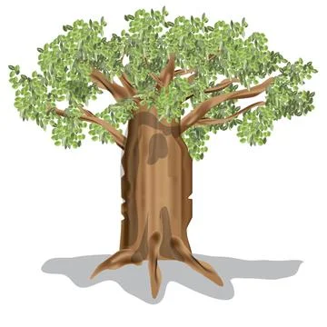 Simple Cartoon Tree Vector Illustration Stock Illustration