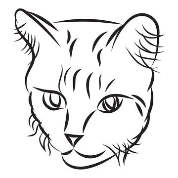 A simple cat in doodle style. Vector illustration isolated on white background. Stock Illustration