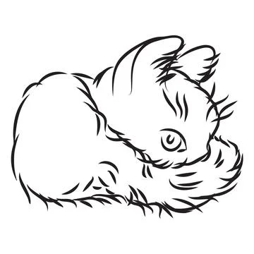 A simple cat in doodle style. Vector illustration isolated on white background. Stock Illustration
