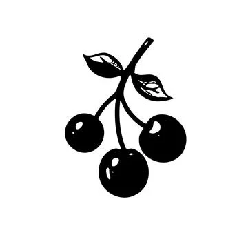 Simple Cherry Vector Illustration in Black Color Stock Illustration