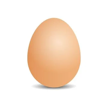 Simple Chicken egg  isolated on white background Stock Illustration