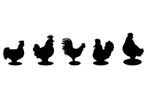 Simple chicken illustration design set Stock Illustration