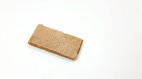 Simple chocolate wafer cookie resting alone on a clean white surface Video stock 328094447