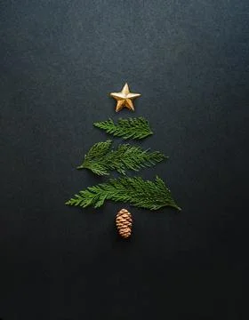 Simple Christmas tree shape made of cedar boughs on black background. Stock Photos