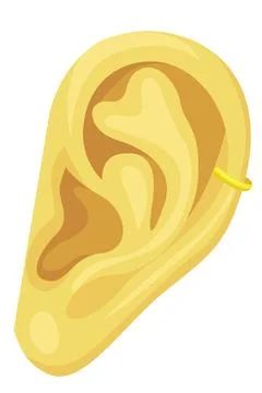 Simple circle cuff earrings on ear isolated on white Stock Illustration