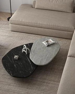 Simple classic minimalism close up interior livingroom with gray stone coffee Stock-Illustration