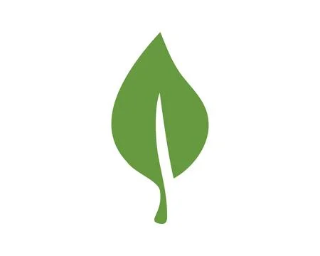 A simple, clean graphic illustration of a single green leaf on a white back.. 스톡 일러스트