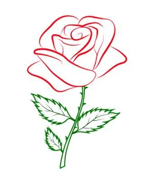 Simple colored outline of a red rose on a green stalk. Stock Illustration