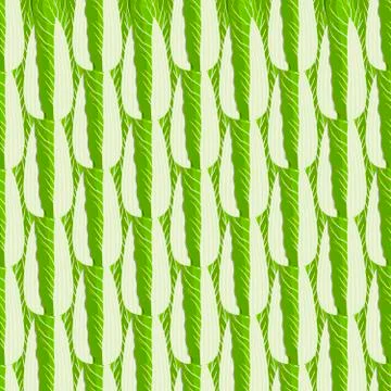 Simple colorful vegetable pattern from salad chinese cabbage Stock Illustration