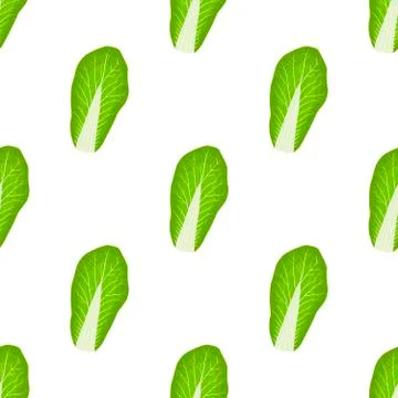 Simple colorful vegetable pattern from salad chinese cabbage Stock Illustration