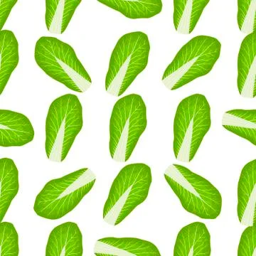 Simple colorful vegetable pattern from salad chinese cabbage Stock Illustration