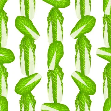 Simple colorful vegetable pattern from salad chinese cabbage Stock Illustration