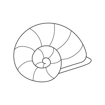 Simple coloring page. Line drawn round seashell on white isolated background Illustrazione stock