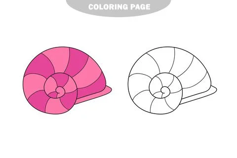 Simple coloring page. Line drawn round seashell on white isolated background 스톡 일러스트