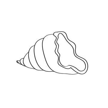 Simple coloring page. Line drawn round seashell on white isolated background Stockillustratie